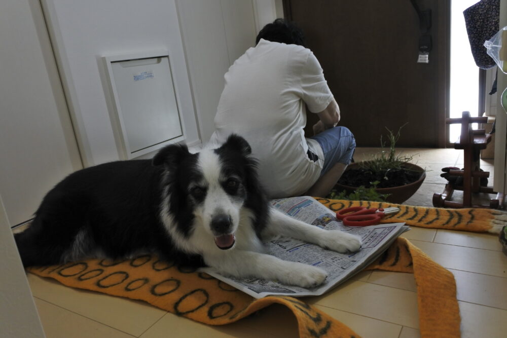 89歳　母の誕生日