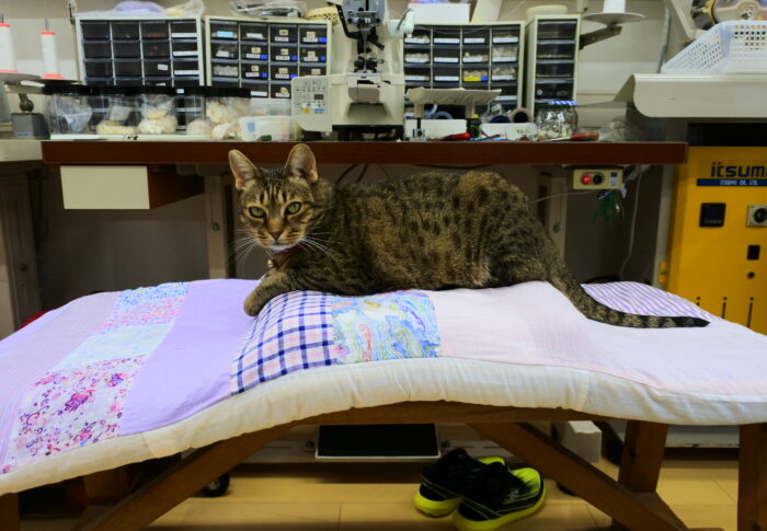 ティーコゼーのつづき