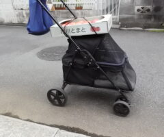 トマト