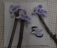 アオサギ