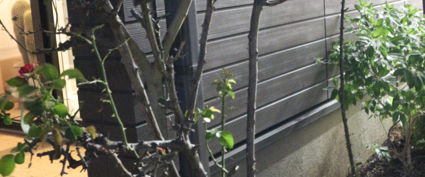 添え木