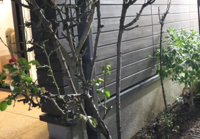添え木