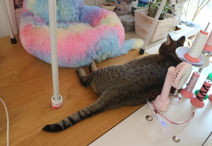 りりィ君のヘアカット