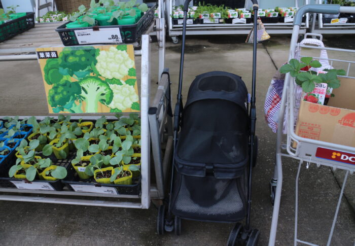 モンとお出かけ