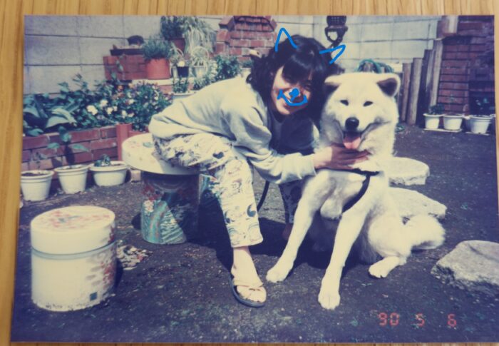 今日はボンちゃん