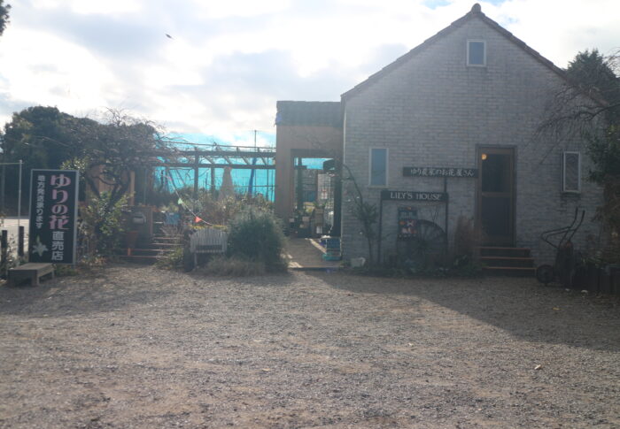 ユリを買いに行く