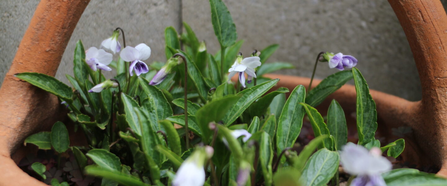 ポーチ途中経過