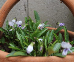 ポーチ途中経過