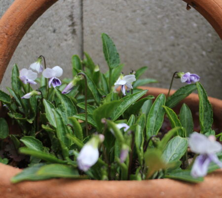 ポーチ途中経過