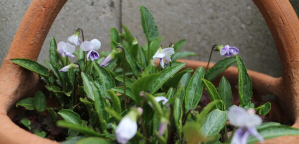 ポーチ途中経過