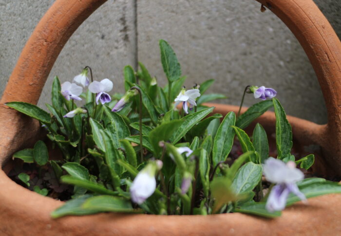 ポーチ途中経過