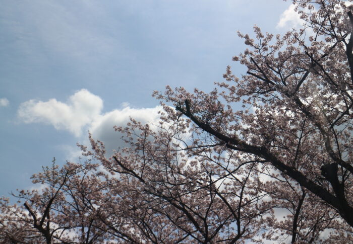 お出かけ