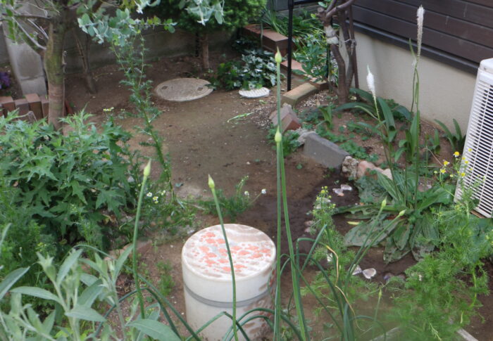庭から