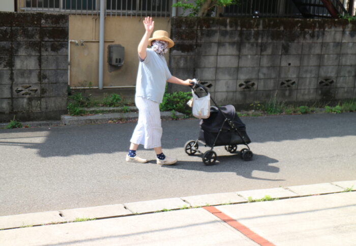 畑へ