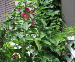 知らぬ間に