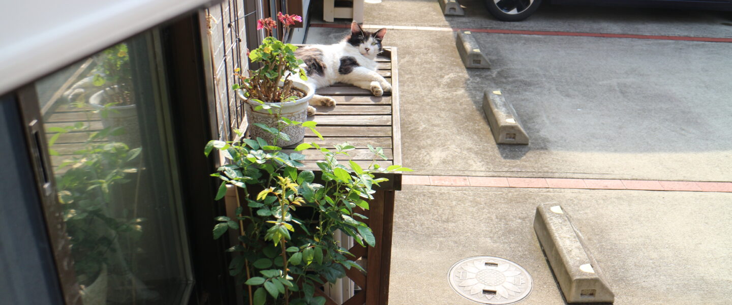持ち手
