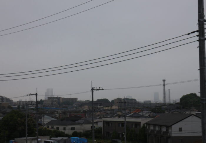 お散歩