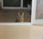 カット&シャンプー