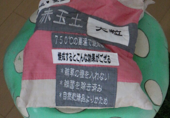 がん検診